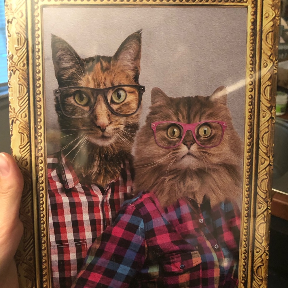 NWT tin cat picture